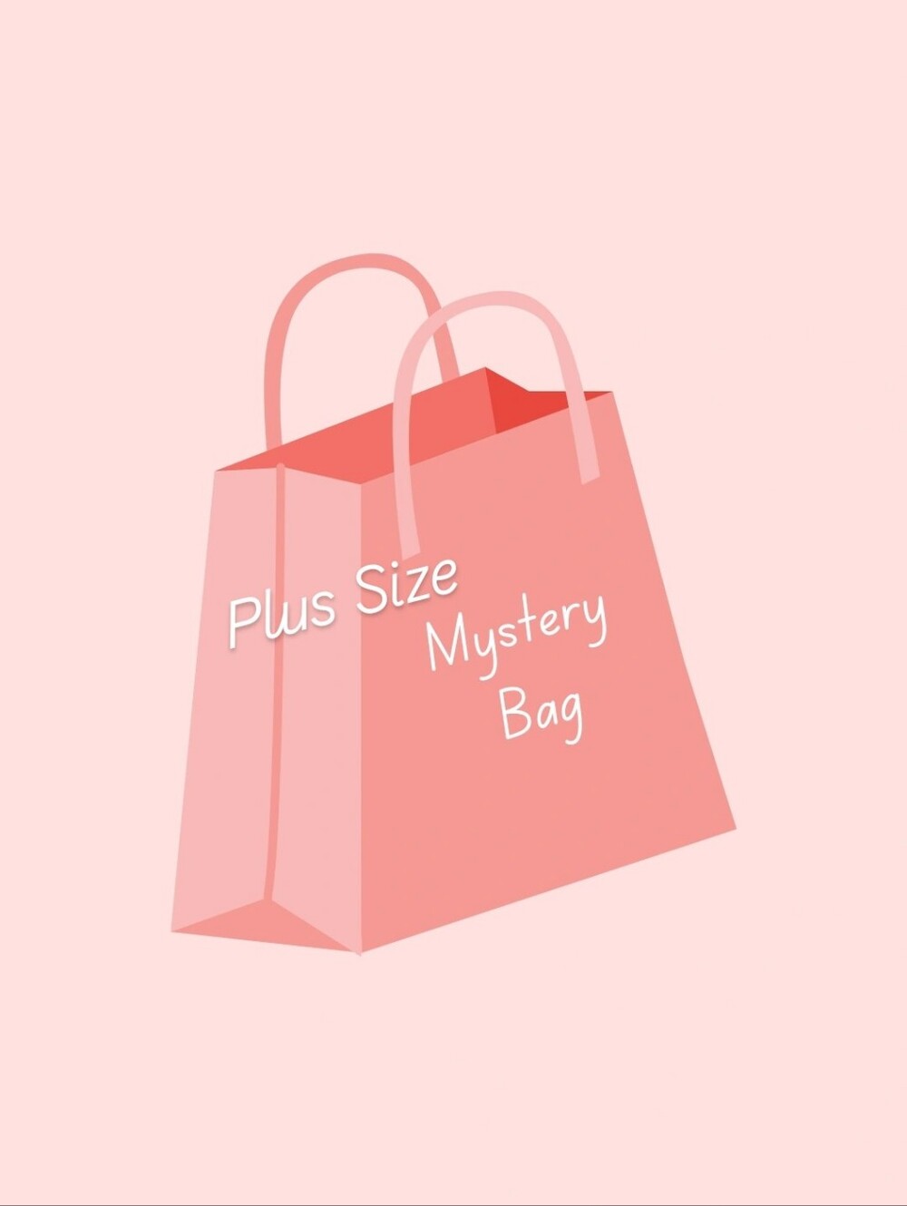 Plus Size Mystery Bag